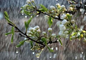 هشدار سیل و تداوم شدت بارش تا پایان روز شنبه ۸ فروردین