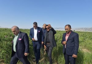 چهاردانگه در قاب خدمت؛ روایت یک روز پُرکار فرماندار ساری در سرزمین ظرفیت‌های مغفول